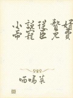 小说从赘婿到女帝宠臣免费阅读