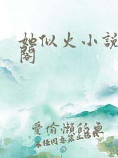 她似火小说笔趣阁
