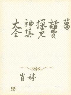 大神探诸葛九九全集免费