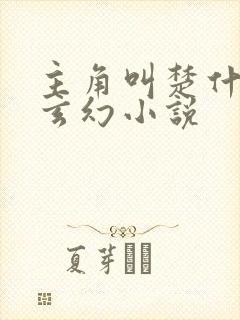 主角叫楚什么的玄幻小说