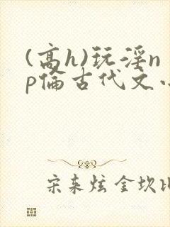 (高h)玩淫np伦古代文小说