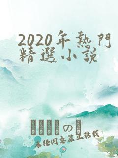 2020年热门精选小说