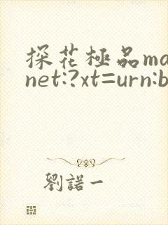 探花极品magnet:?xt=urn:btih: