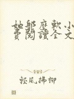 她那么软小说免费阅读全文