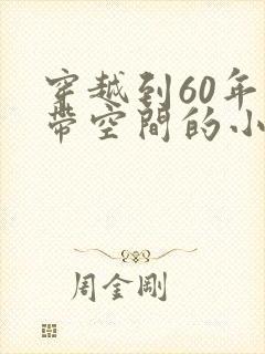 穿越到60年代带空间的小说