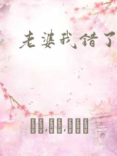 老婆我错了小说