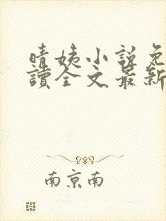 晴姨小说免费阅读全文最新章节