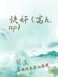 快奸 (高h.np)