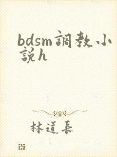 bdsm调教小说h