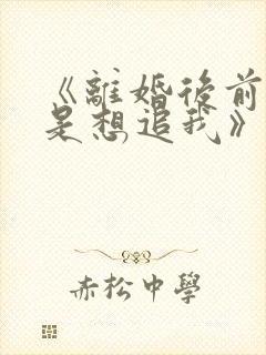 《离婚后前夫总是想追我》