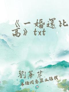 《一婚还比一婚高》txt