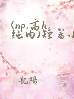 (np,高h,纯肉)短篇小说