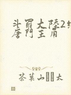 斗罗大陆2绝世唐门主角