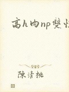 高h肉np双性