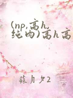 (np,高h,纯肉)高h高辣