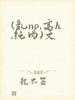 (乱np,高h,纯肉)文