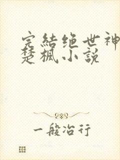 完结绝世神皇 楚枫小说