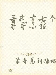 看我有七个大佬哥哥小说