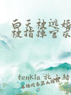 白天被逃婚晚上被指挥官求抱抱免费漫画