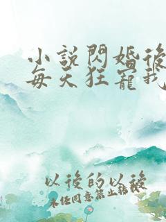 小说闪婚后大叔每天狂宠我完整版