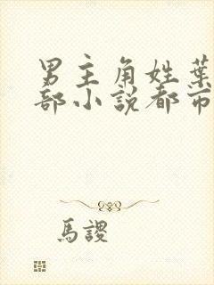 男主角姓叶的全部小说都市