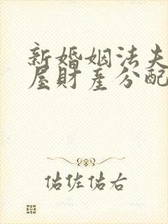 新婚姻法夫妻房屋财产分配