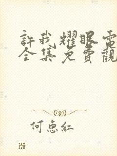 许我耀眼电视剧全集免费观看33集