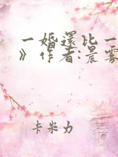 一婚还比一婚高》作者:晨雾的光