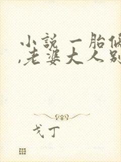 小说 一胎俩宝,老婆大人别想逃