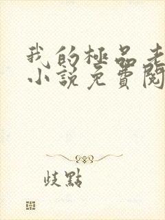 我的极品老婆 小说免费阅读