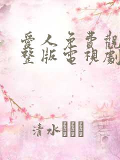 爱人免费观看完整版电视剧