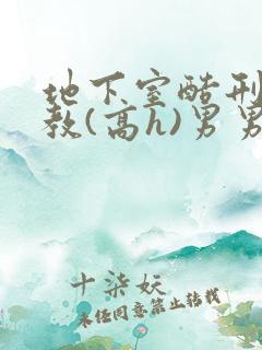 地下室酷刑性调教(高h)男男