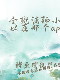 全职法师小说可以在哪个app看