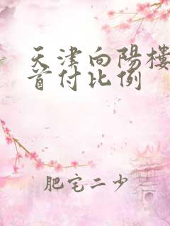 天津向阳楼新房首付比例