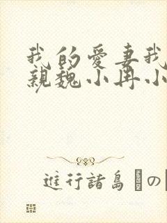 我的爱妻我的父亲魏小冉小说