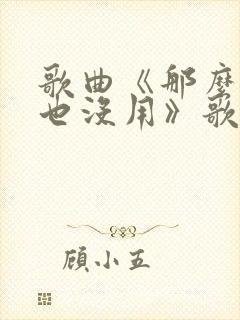 歌曲《那么爱你也没用》歌词