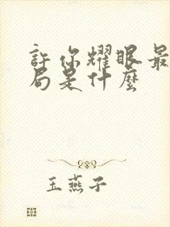 许你耀眼最后结局是什么