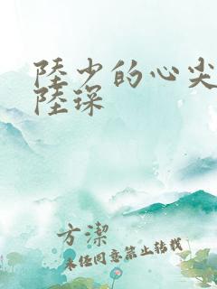 陆少的心尖宠妻陆琛