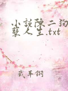 小说陈二狗的妖孽人生.txt