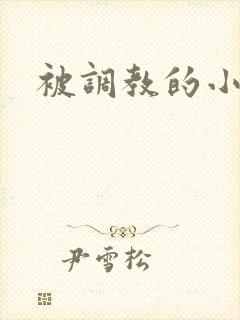 被调教的小骚货