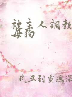 被主人调教的骚母狗