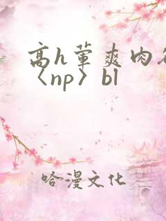 高h荤爽肉欲文〈np〉bl