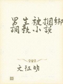 男生被捆绑束缚调教小说