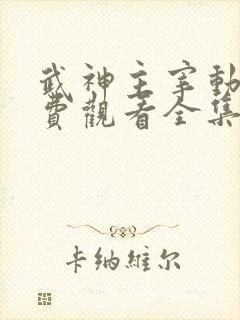 武神主宰动漫免费观看全集完整版