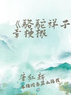 《骆驼祥子》各章梗概