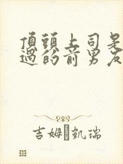 顶头上司是我渣过的前男友小说免费阅读