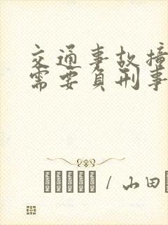 交通事故撞死人需要负刑事责任吗?