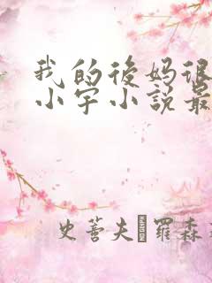 我的后妈很漂亮小宇小说最新章节