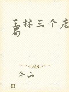 王林三个老婆结局