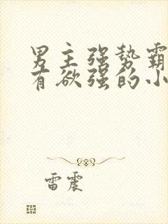 男主强势霸道占有欲强的小说